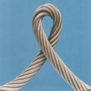 304A21.4301 3 7 X 7 mm SS Wire Rope