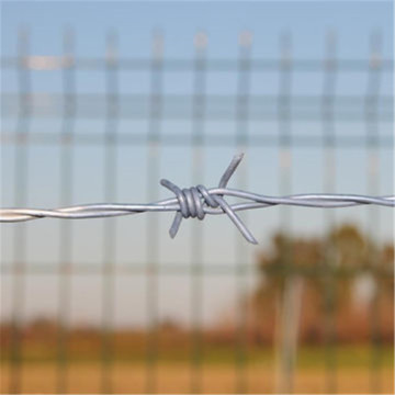electro galvanized barbed wire fencing for security