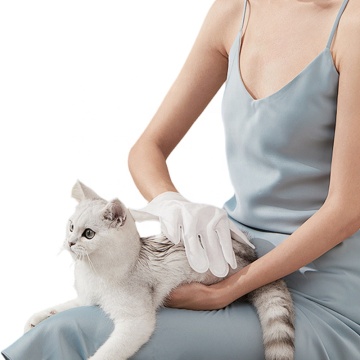 Wholesale Factory Supply: Custom Pet Grooming Gloves & Wet Cleaning Wipes - Hot Selling Products