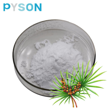 fatty acids Saw Palmetto Extract