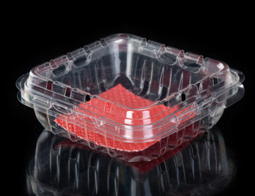 Multi-use biodegradable clear fruit clamshell