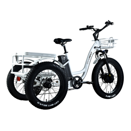 2022 Electric Cargo bikes Enclosed Electric Tricycle for Adults