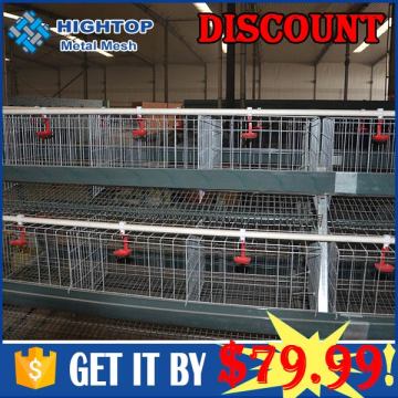 Automatic Chicken Poultry Layer Cages System