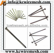Round cap common nails/iron nails made in China!!