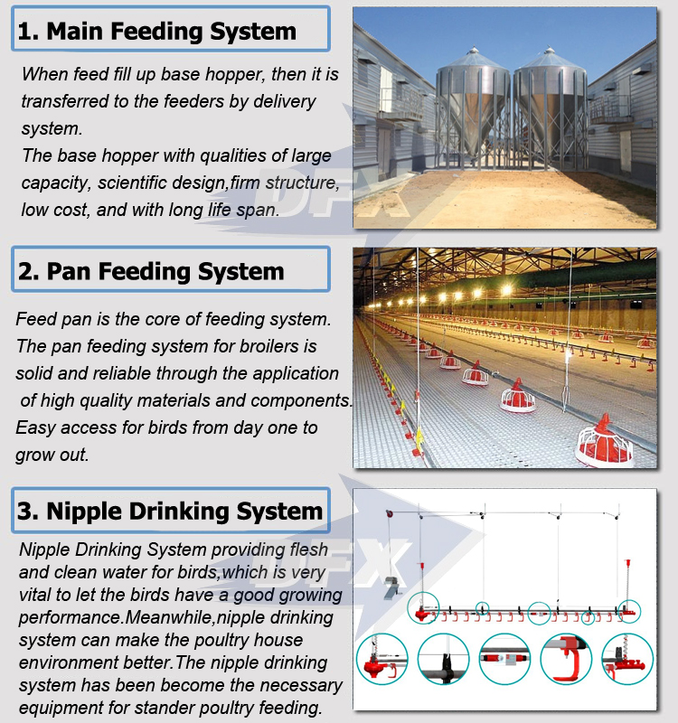 China large steel frame poultry automatic broiler house farming shed