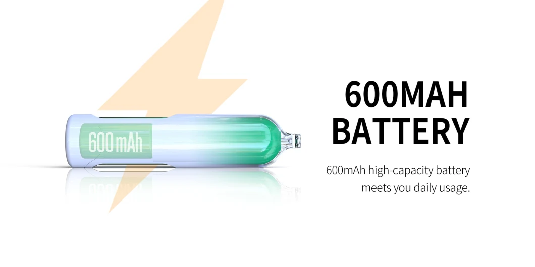 Vente en gros jetable Vape Stylo-cigarette 6600 Puff Vaporisateur jetable Vaporisateur électronique