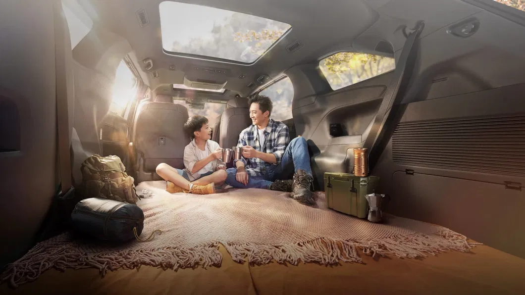 Various Brands of Configurations Comfortable Commercial MPV