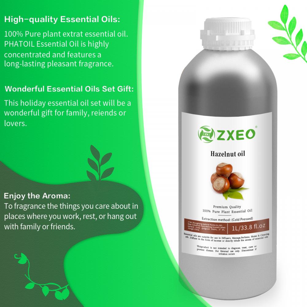 Grosir Minyak Pembawa Hazelnut Organik Murni untuk Pertumbuhan Rambut Pijat Tubuh Massal