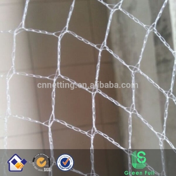 white bird pest netting