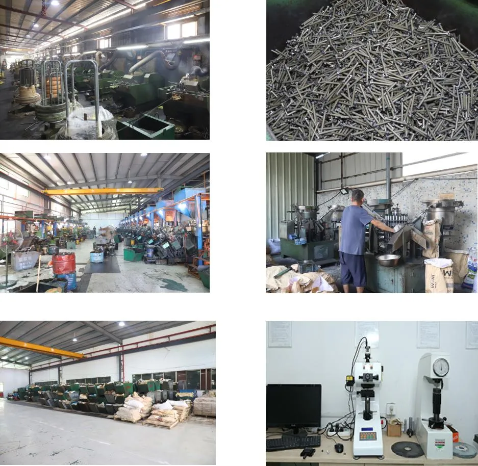 Stainless Steel /Self Tapping Drilling Screws/Roofing Machine Ball /Wood/Torx Chipboard Gypsum/Drywall Screws /DIN7504K China Fasteners Set Screws Factory