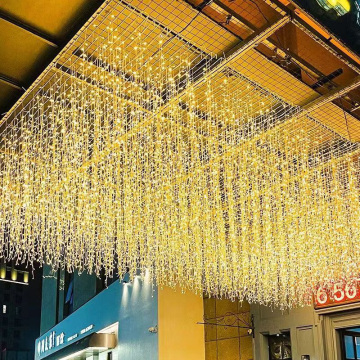 24V 220V AC Waterproof LED Light Strings for Outdoor Christmas Decorations