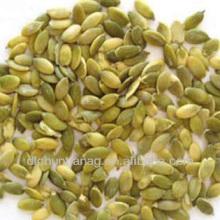 organic pumpkin seeds/kernel