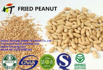 blanched peanut kernel price/raw blanched peanuts/blanched peanuts (white)