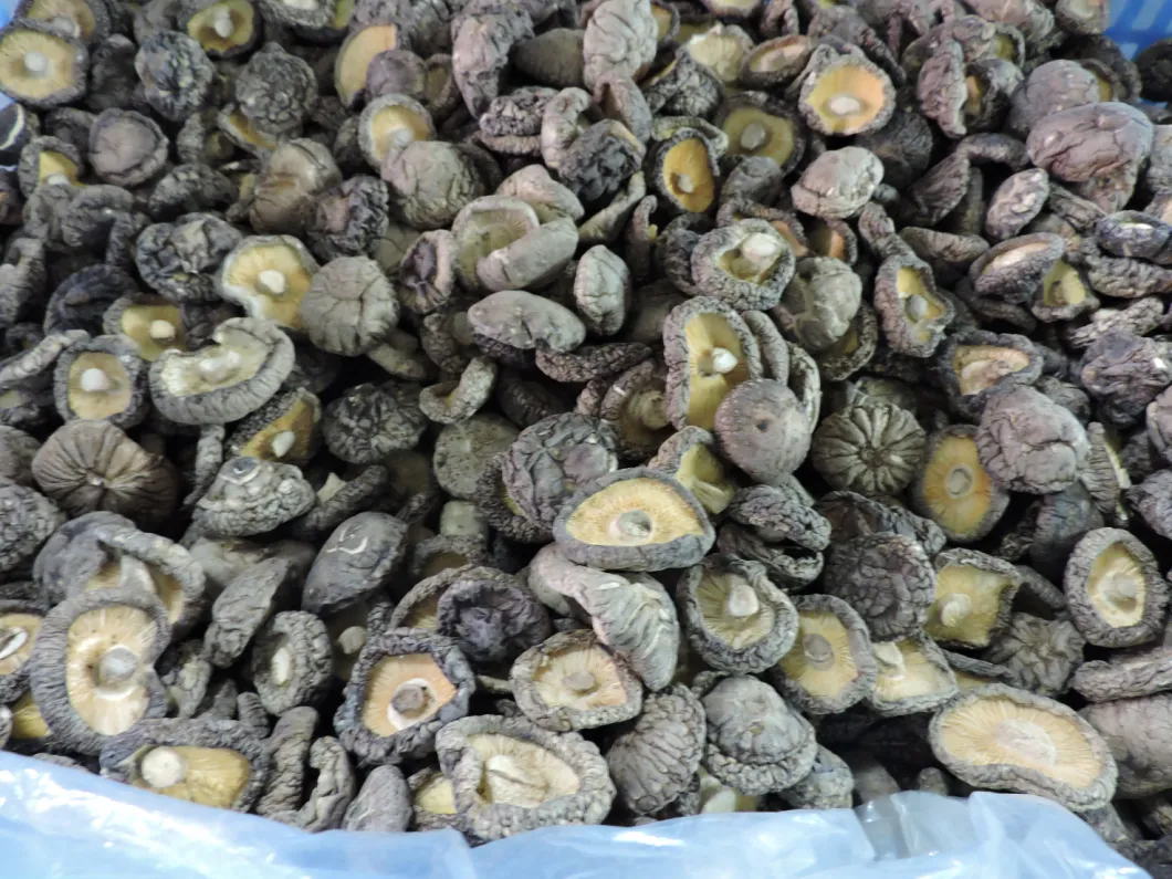 Grade a Mushrooms New Crop Dried Shhiitake