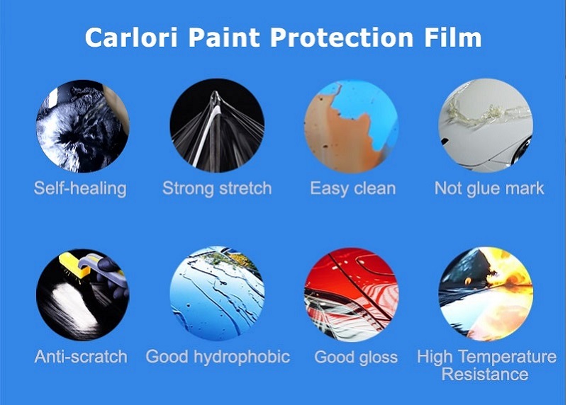 Auto Paint Protection Film Near Me