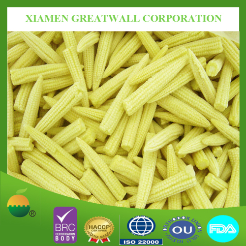 Frozen fresh baby corn whole from China