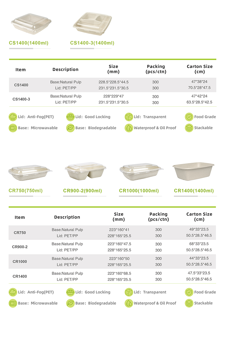 Food Grade Bagasse Box Packaging