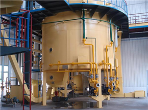 Extracción Extraction