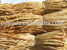 campanumaea pilosula