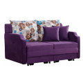 Sleeper Armsteun Loveseat Sofa Sofa Cum Bed