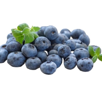 Blueberry Wine Processing Fruit Wine Production Line