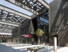 decorative metal garden fence