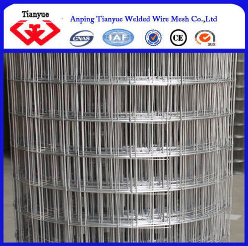 Easily assembled square galvanized steel Wire construction welded Mesh