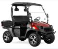 Jeep Style 50ev Electric Golf Cart mit EEC