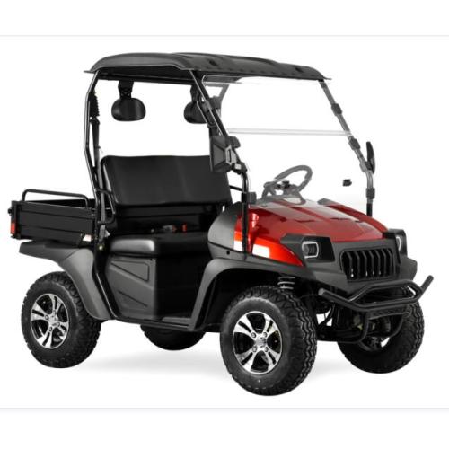 Jeep Style 50ev Electric Golf Cart mit EEC