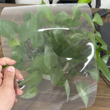 Polypropylene food packaging sheet