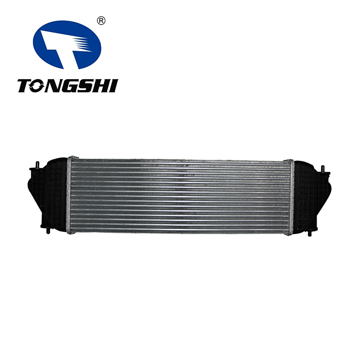 Auto Intercooler for SUZUKI GRAND ESCUDO 11(JT) 1.9 DOIS 13620-67J02/00/01 Auto Intercooler for SUZUKI GRAND ESCUDO 11(JT) 1.9 DOIS 13620-67J02/00/01