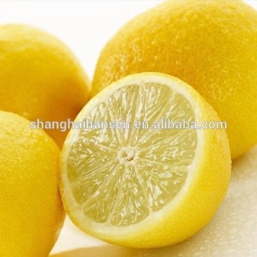 fresh sweet lemon import export agent