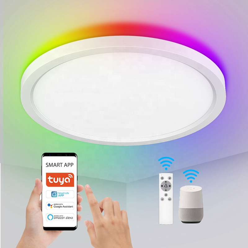 Smart Wifi Control Rgb Ceiling Lights