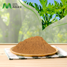 Papaya Leaf Extract Uses and Risks