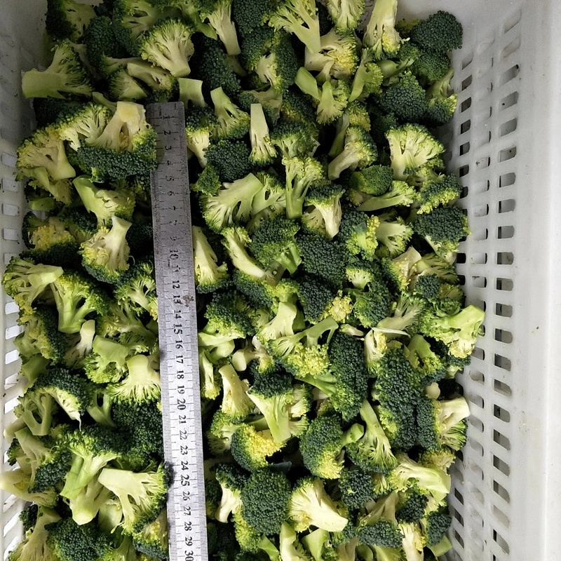 Frozen Cauliflower 3-5cm, 4-6cm Frozen Vegetables Chinese Supplier