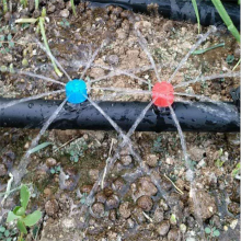 Fruit tree pressure compensation dripper