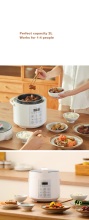 2qt Multifunction electric Pressure Cooker