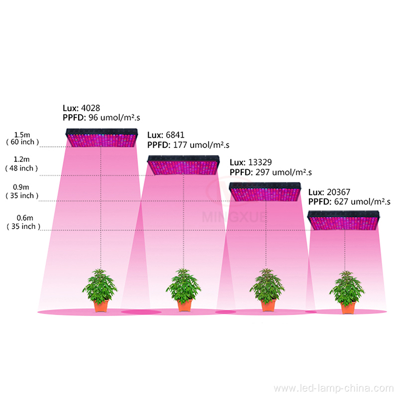 High Umol 1200 Watt LED Grow Light