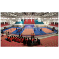 Pista de balonmano y voleibol interior profesional Alite