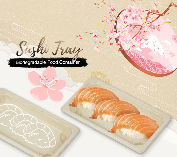 sugarcane bagasse packaging sugarcane bagasse packaging