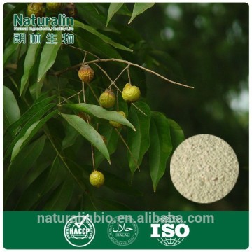 Sapindoside/Detergent Sapindus Extract