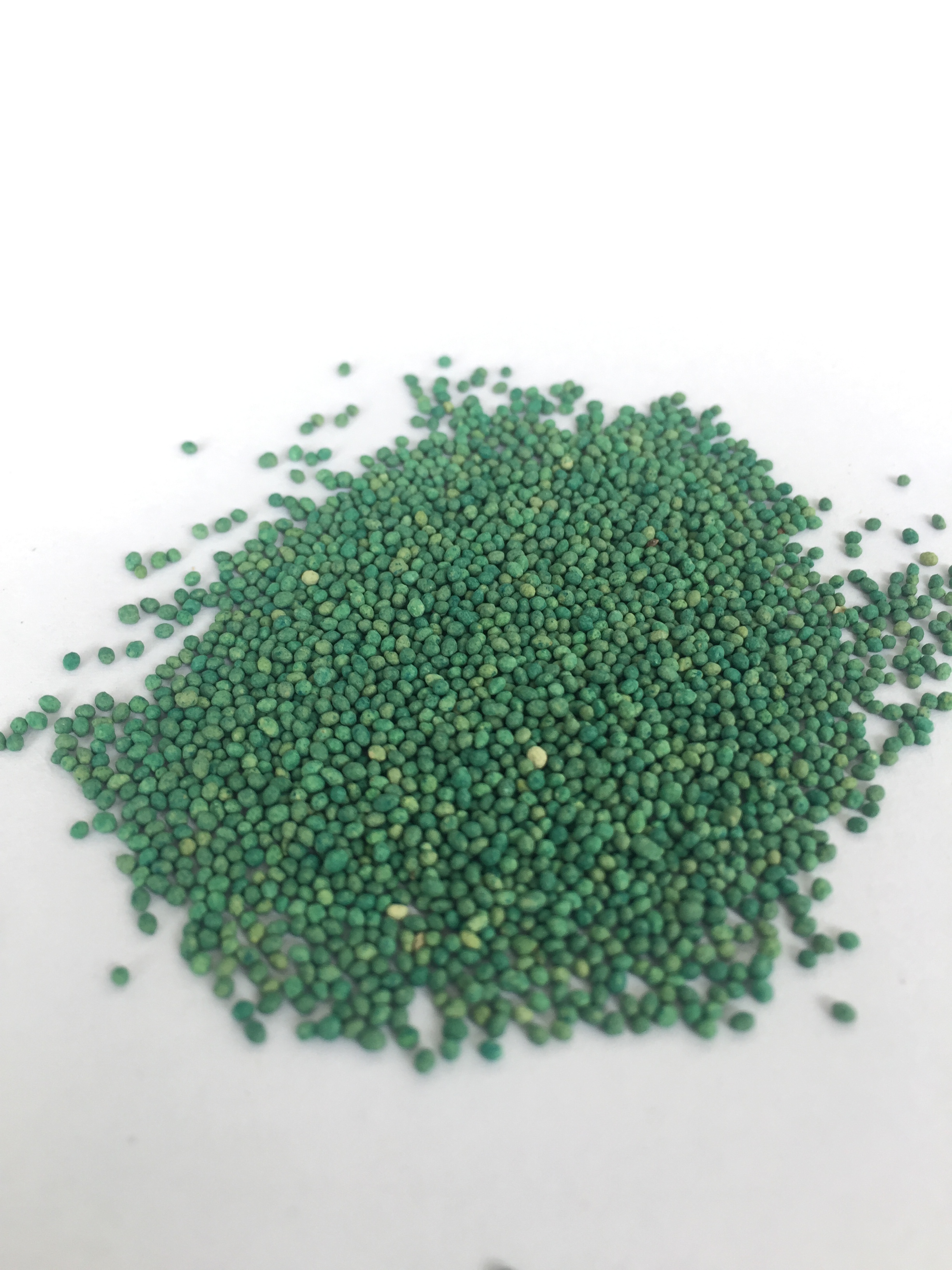 grass_seed (4)