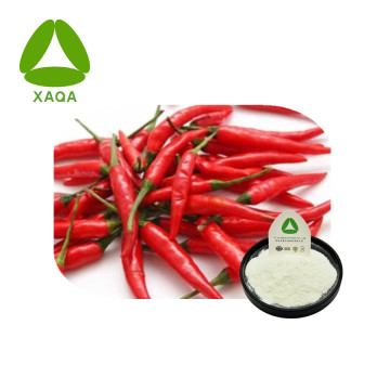 Extracto de chile Pepper Capsaicina Pure 98% en polvo 404-86-4