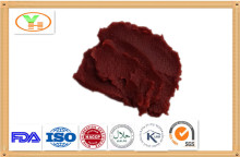 wholesale canned tomato paste,chinese plant