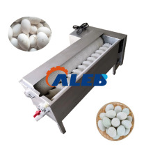 Small Business Guide: Finding the Right Egg Washing Machine