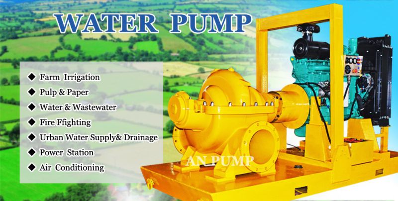 Double Suction Dewatering and agricultural irrigation diesel engine water pump