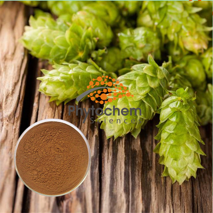 Humulus lupulus lupulin Xanthohumol Flavonoids powder hops flower extract beer hops