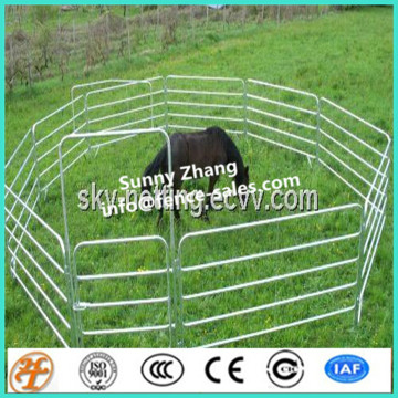 Galvanised Steel horse stables and horse accessories