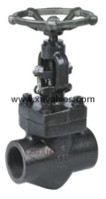 API Forged Steel Globe Valve/ Stop Valve