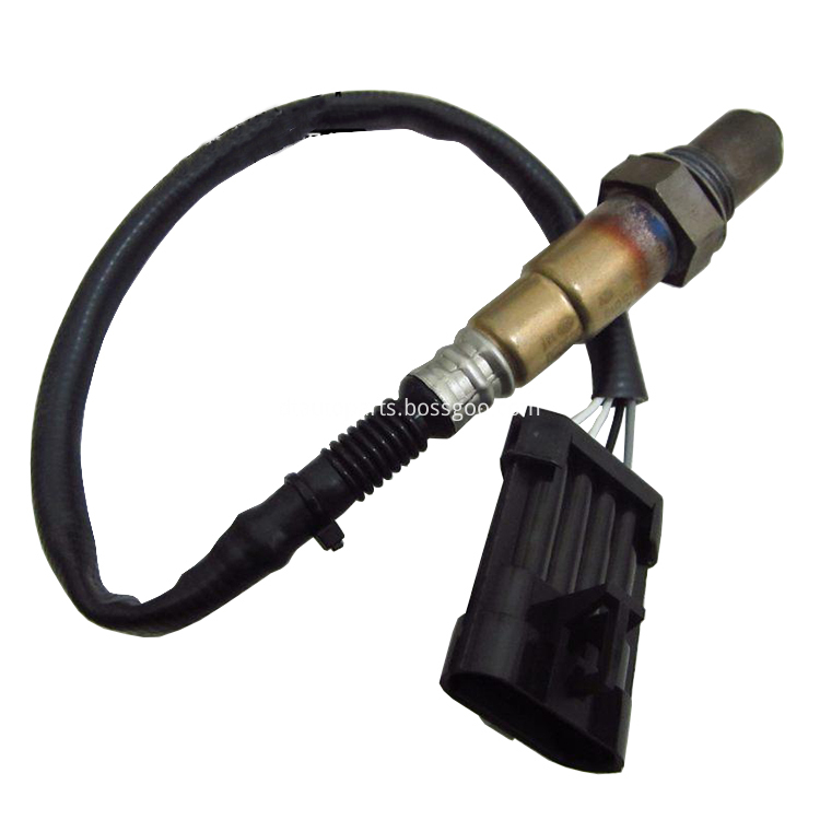 Oxygen Sensor